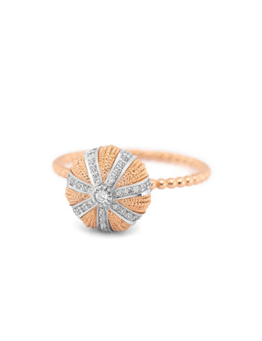 Sea urchin ring PM