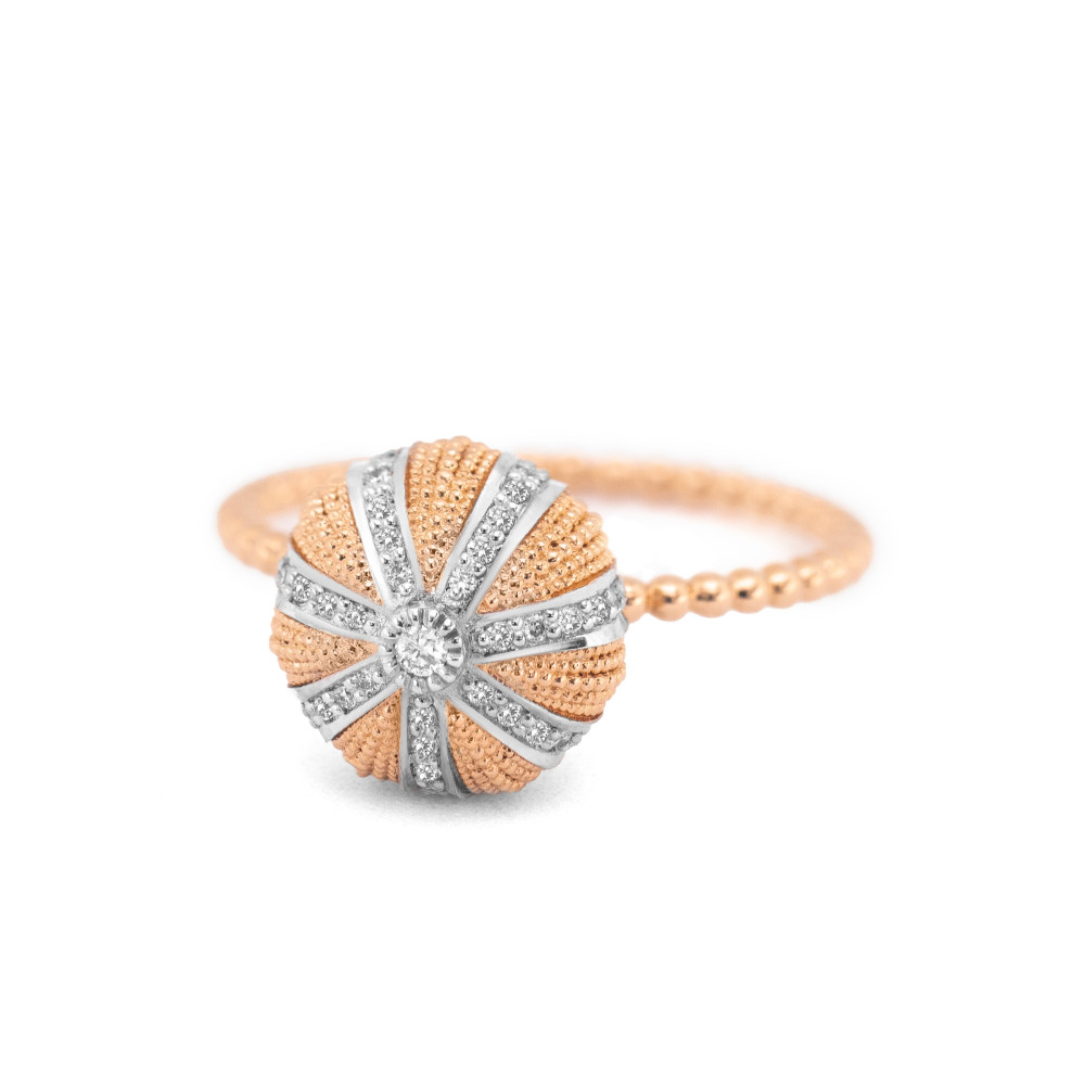 Sea urchin ring PM