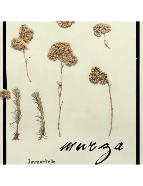 Masque visage à l'Immortelle