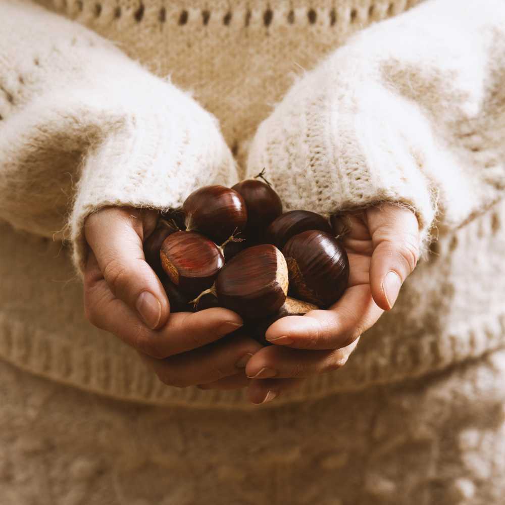 Chestnut diffuser refill