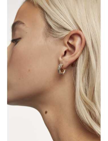 Tiger earrings