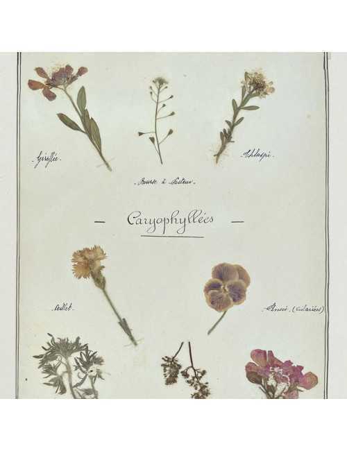 Huile capillaire Oliu di Fiori