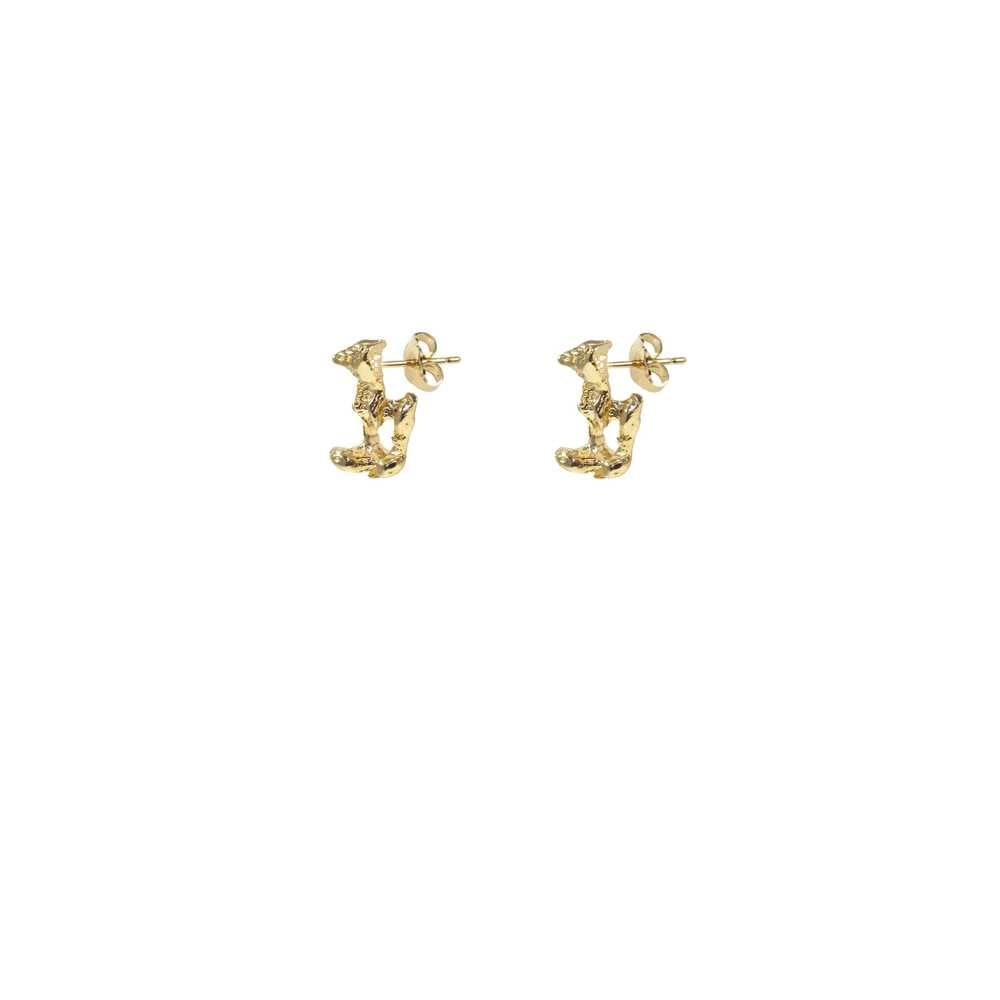 Boucles d'oreilles hybride...